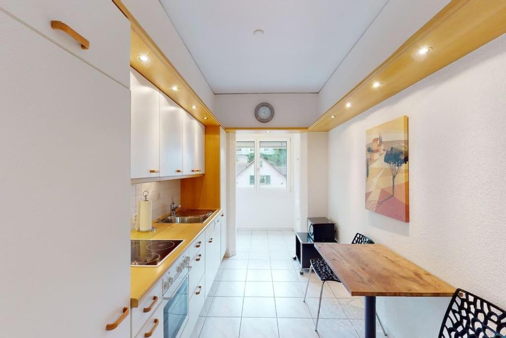 Executive 1 Bedroom Flat, Center Apartment Zürich